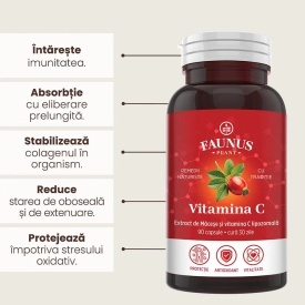 Vitamina C lipozomală cu măceșe - Concentrație mare de vitamina C pentru imunitate, absorbție fier și producerea de colagen - 90 Capsule - Img 3