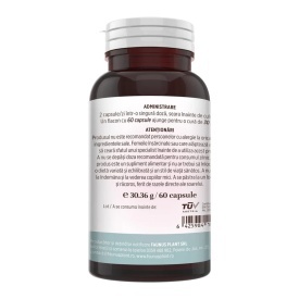 Colagenus Capsule - Colagen concentrat tip II, acid hialuronic și plante medicinale. Dureri articulare, rezistență articulații, flexibilitate - 60 Capsule - Img 2