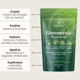 Greenerals - Amestec de superalimente naturale cu nutrienți esențiali pentru organism. Pudră 300g. Energie și vitalitate. Susține imunitatea și detoxifierea în mod natural cu un mix de verdețuri, superalimente și antioxidanți - Img 3