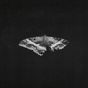 Kendrick Lamar – To Pimp A Butterfly (10th Anniversary - Alternate