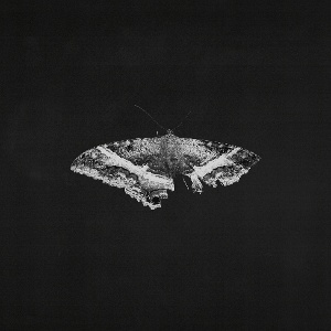 Kendrick Lamar – To Pimp A Butterfly (10th Anniversary - Alternate artwork) (Vinyl)