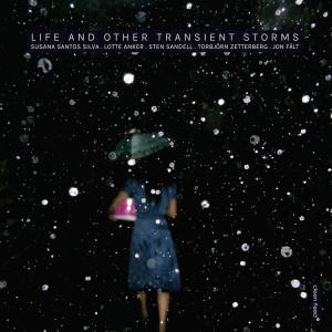 Susana Santos Silva, Lotte Anker, Sten Sandell, Torbjorn Zetterberg, Jon Falt - Life And Other Transient Storms (CD)