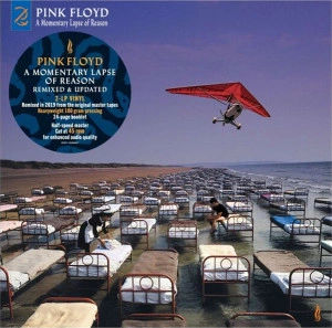 Pink Floyd - A Momentary Lapse of Reason (Vinyl)