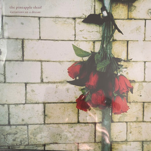 The Pineapple Thief - Variations On A Dream (Vinyl)