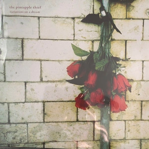 The Pineapple Thief - Variations On A Dream (Vinyl)
