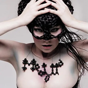 Bjork - Medúlla (Vinyl)