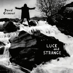 David Gilmour – Luck And Strange (Vinyl)