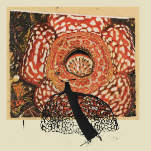 David Fenech & Klimperei - Rainbow De Nuit (Vinyl)