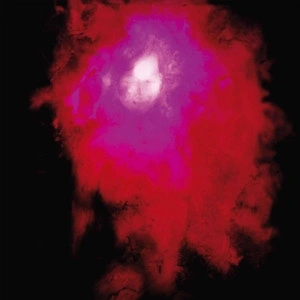 Porcupine Tree - Up the Downstair (Vinyl)