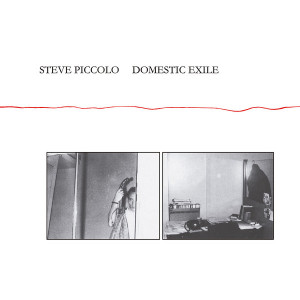 Steve Piccolo - Domestic Exile (Vinyl)