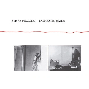 Steve Piccolo - Domestic Exile (Vinyl)