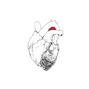 Swans - The Beggar (Vinyl)