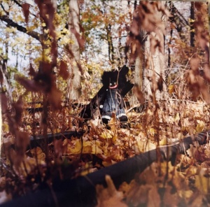 Billy Woods – Golliwog (Vinyl)