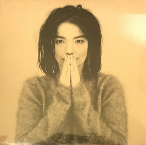 Bjork - Debut (Vinyl)