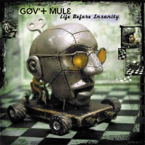 Gov't Mule - Life Before Insanity (Vinyl)