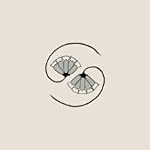 Godspeed You! Black Emperor - G_d's Pee AT STATE'S END! (Vinyl)