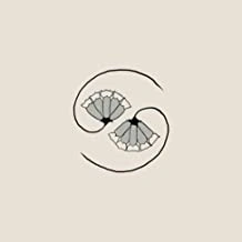 Godspeed You! Black Emperor - G_d's Pee AT STATE'S END! (Vinyl)