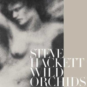 Steve Hackett - Wild Orchids (Vinyl)
