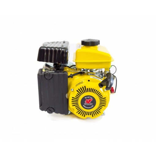 Motor Peggas AP 156 F