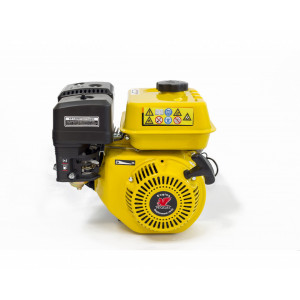 Motor Peggas AP 168 F - Img 1