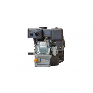 Peggas-S AP170F Motor - Img 3