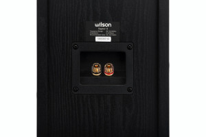WILSON RAPTOR 9 Boxă standfloor - Img 8