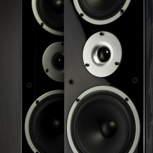 WILSON RAPTOR 9 Boxă standfloor - Img 5