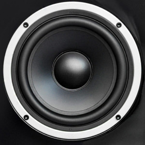 WILSON RAPTOR 9 Max Boxă standfloor - Img 11