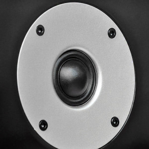 WILSON RAPTOR 9 Max Boxă standfloor - Img 12