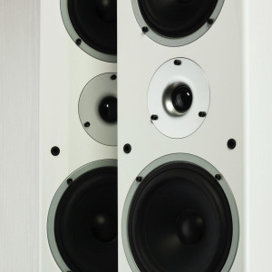 WILSON RAPTOR 9 Boxă standfloor - Img 13