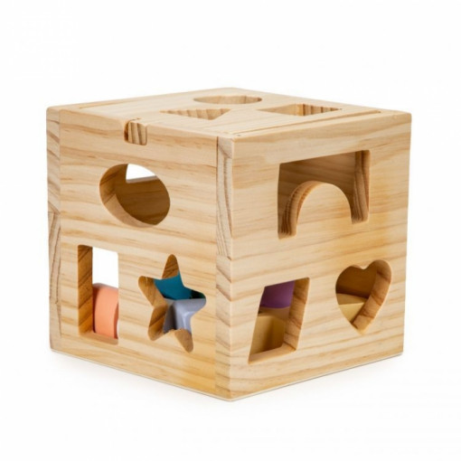 Cub educational cu 12 blocuri din lemn si sortator Ecotoys 2540