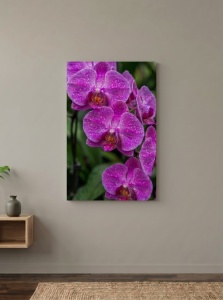 Tablou canvas personalizat 50 x 70 cm, pe sasiu din lemn - Img 7
