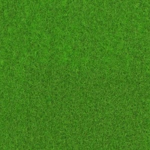 Mocheta Expo culoare Spring Green - Pantone 363C 100 Mp
