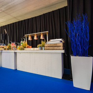 Mocheta Expo culoarea Royal Blue - Pantone 7687C 100Mp