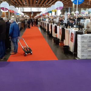 Mocheta Expo culoarea Violet - Pantone 7671C  100 Mp