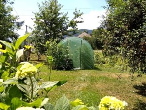 BAŠTENSKI PLASTENIK 3-SEGMENTNI 3 X 2 X 2 M ZELENI SA OPCIJOM DODATNE VENTILACIJE 3910 - Img 2
