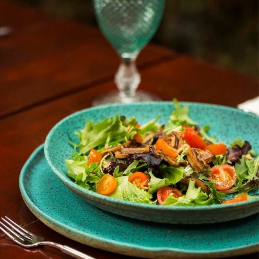 Bol salata Sauvage 22cm 37005303 - Img 2