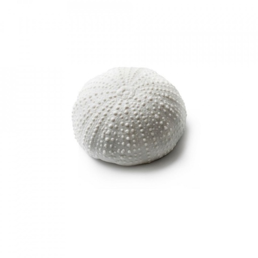Mini Sea Urchin gloss/matt 6cm V0122-0056 - Img 2