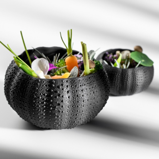 Mini Sea Urchin Black 8cm B0122-0057N - Img 2