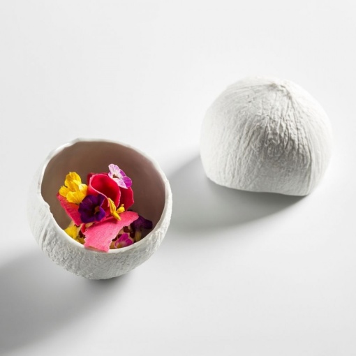 Bol botanique Coconut V0122-0102 - Img 2