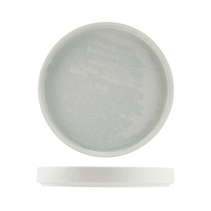 Farfurie prezentare Incise Lucine 25cm PR-PLC25
