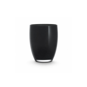 Pahar apa tumbler Allegro Black 290ml 180936