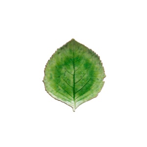 Platou frunza Riviera tomate 22x19cm VEP221-TMT