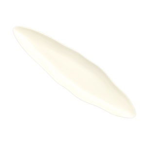 Platou aperitiv Bon China AF1760 36x10cm ARB20360000