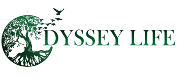 Odysseylife.ro