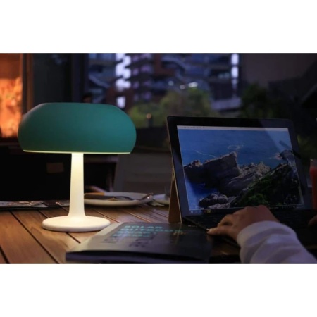 Lampa Solara LED Portabila si Reincarcabila de Interior Exterior, Mushroom Neosimply, 500 lumeni, 4 Moduri de utilizare, panou solar, Green - Img 4