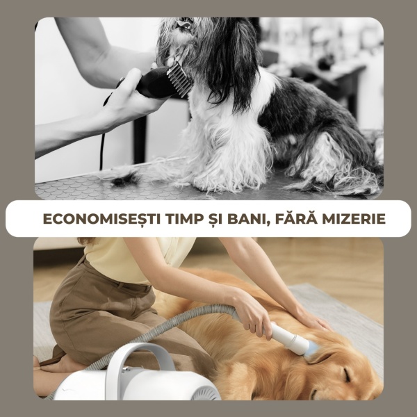 Aspirator Animale 13 in 1 SeveShop®, Grooming, Toaletarea Animalelor De Companie, Aparat De Tuns Cu 6 Accesorii Interschimbabile, Aspirator Animale, Perie Pentru Descurcare Si Textile, Aspirare Par, 4 Trepte De Taiere, Silentios, Alb - Img 4