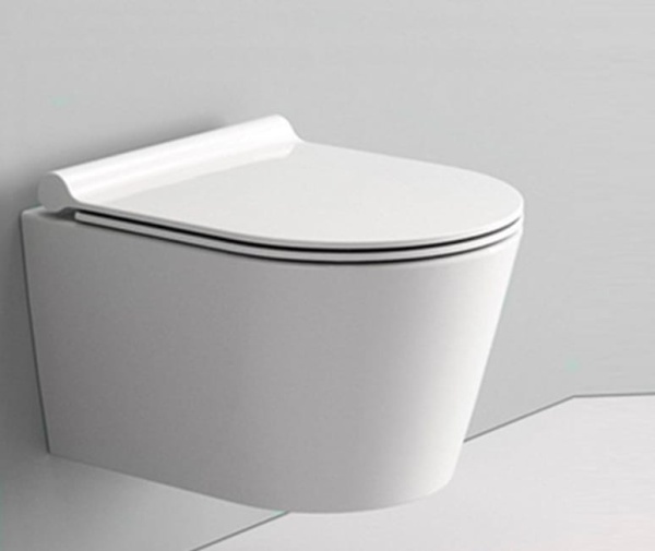 Set Vas WC PRO GEBERIT, Montaj Suspendat, Ceramica Sanitara, Vas WC SONET RIMLESS + Capac Soft-Close SLIM Inclus + Cadru + Clapeta - Img 3