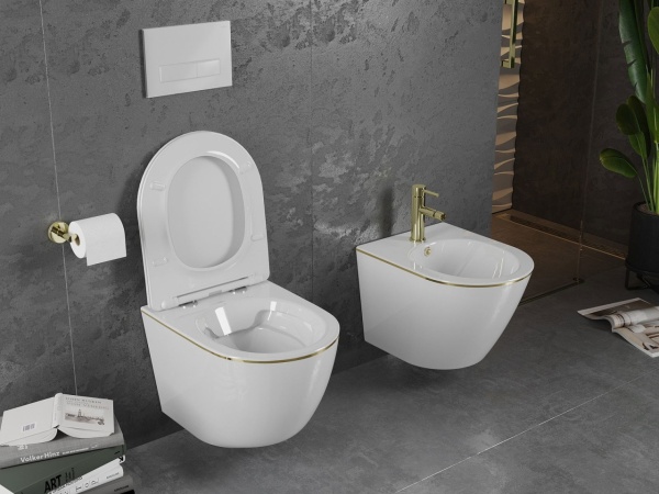 Vas wc Pro White/Gold edge - Img 2