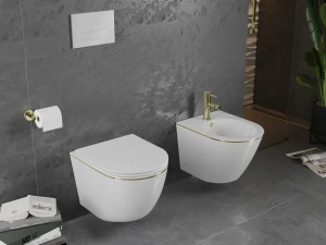 Set vas WC + Bideu Pro White/Gold edge